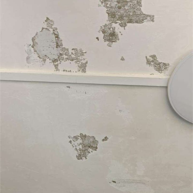 What causes plaster to crack?